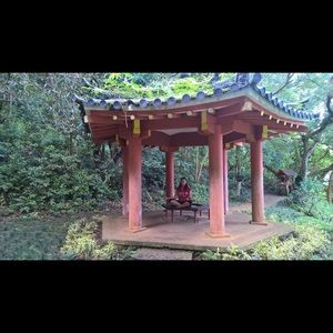 Meet your Posher, Shala